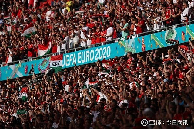 歐洲效力的 歐洲效力的