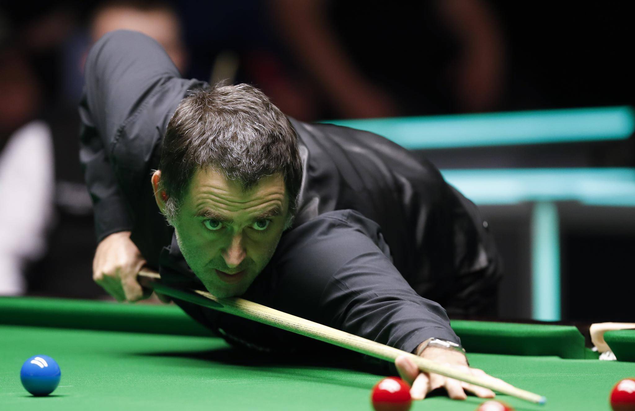 只有每天放 只有每天放