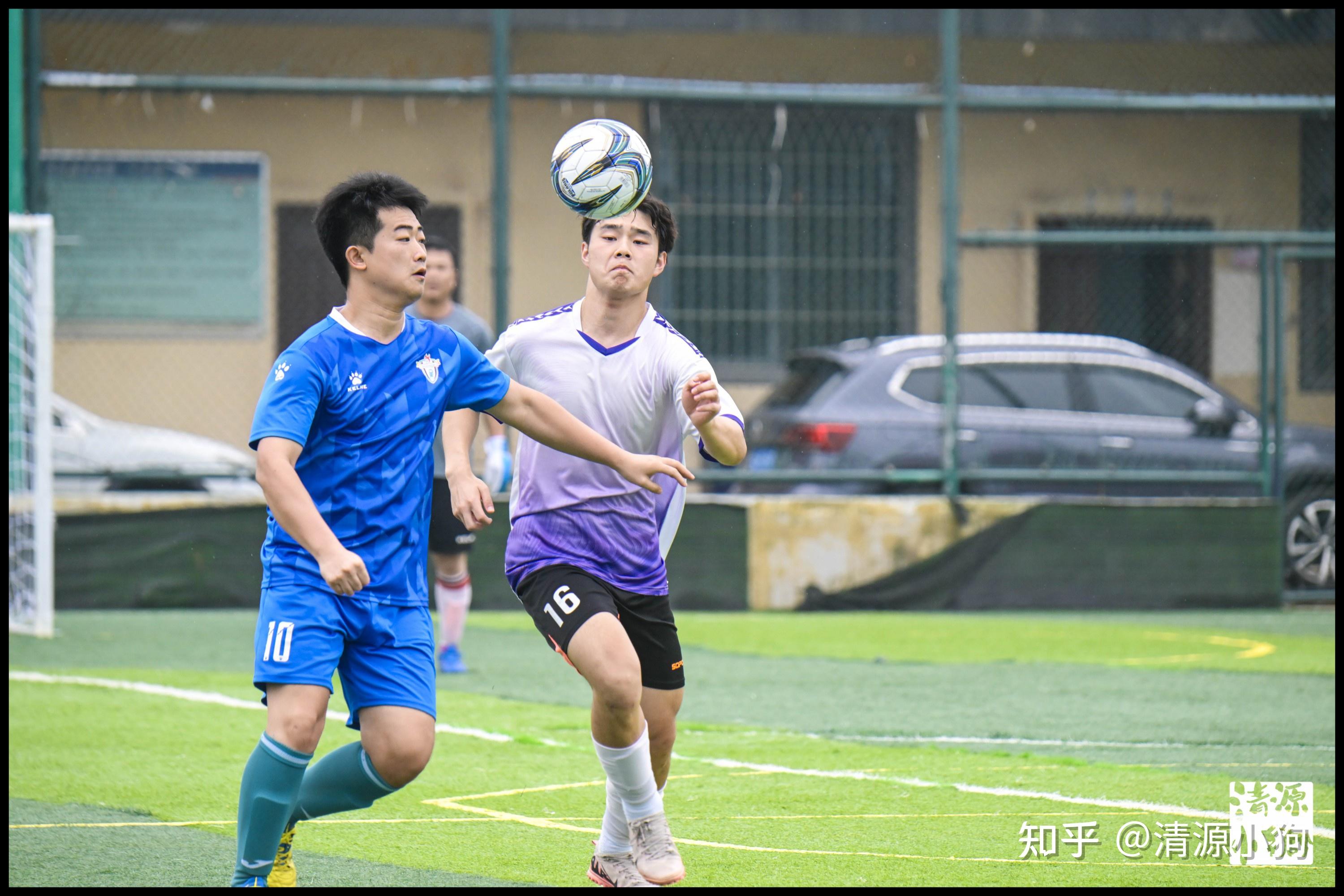 夺冠而更显 夺冠而更显